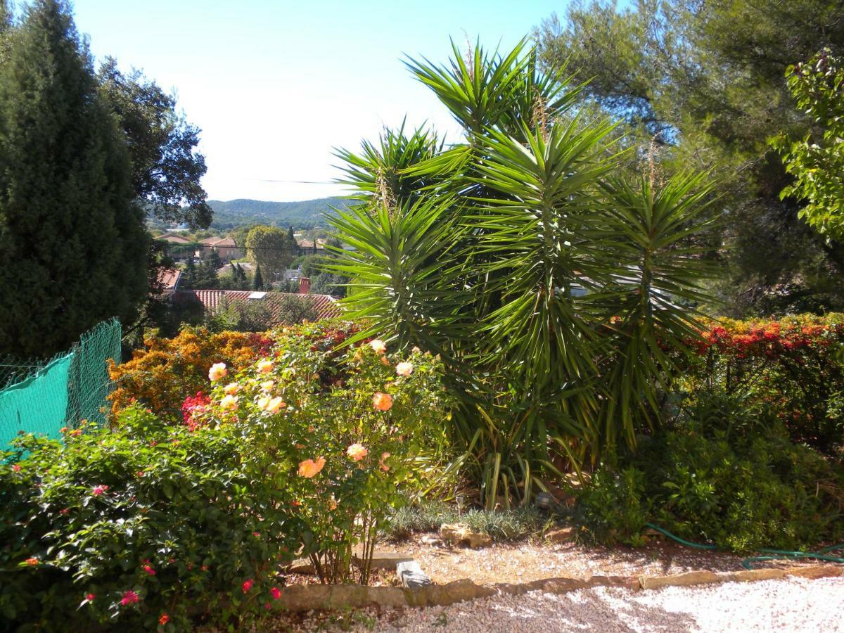 Ecrin De Verdure Sur Le Lavandou - Classement Tourisme 3 Etoiles Zewnętrze zdjęcie