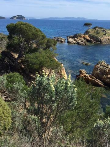 Ecrin De Verdure Sur Le Lavandou - Classement Tourisme 3 Etoiles Zewnętrze zdjęcie